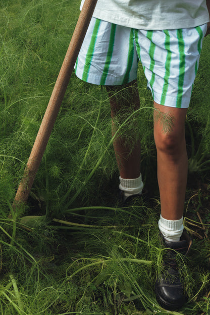 Striped Blue Green Shorts