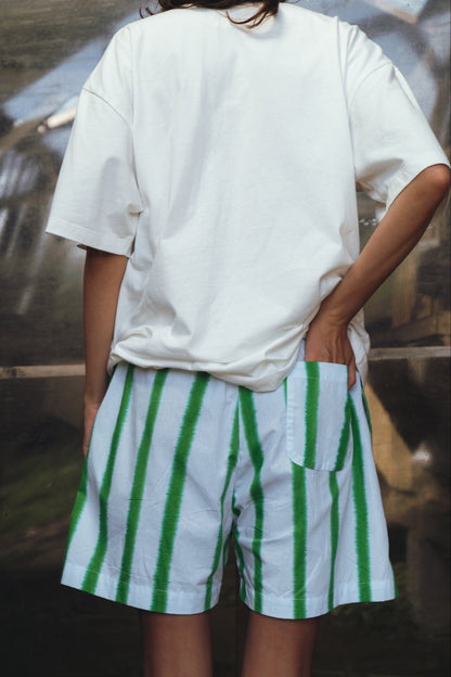 Striped Blue Green Shorts