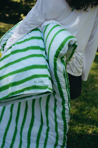 Striped Mattress and Pillow Cover Set Blue Green