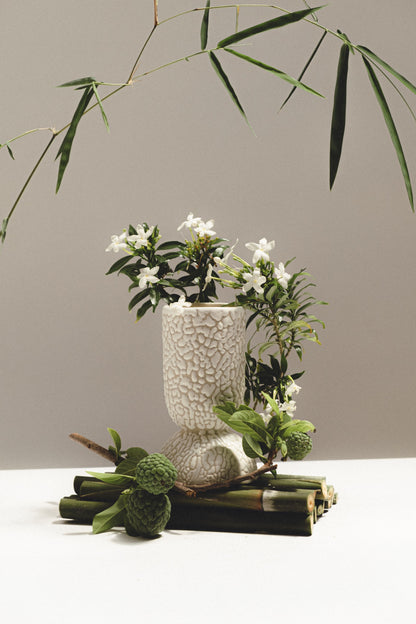 Aura Scented Ceramic Candle