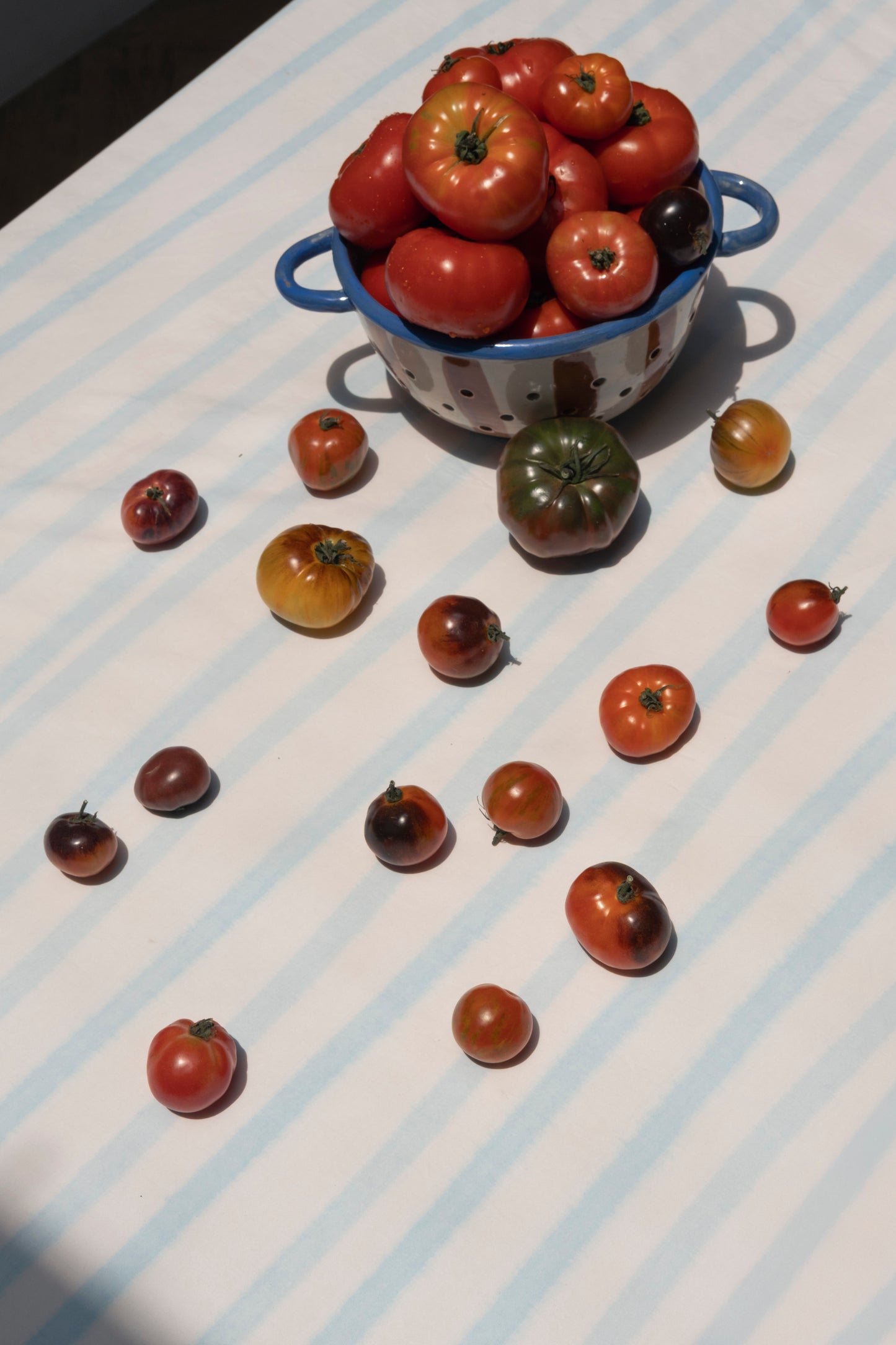 White Blue Stripes Table Linen