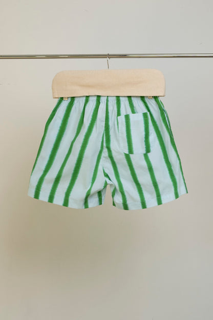 Striped Blue Green Shorts