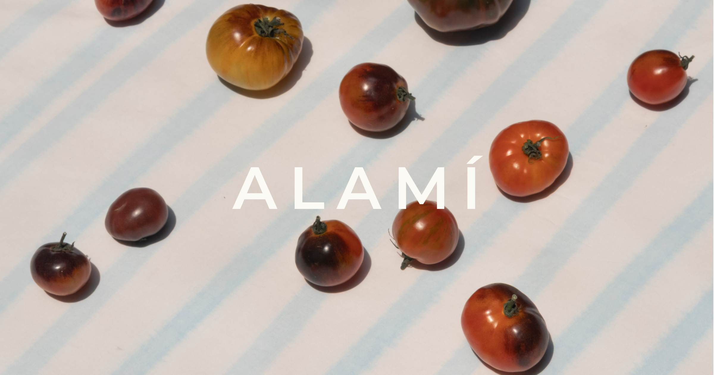 ALAMÍ STUDIO
